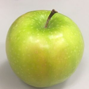 Meet your Posher, Ani